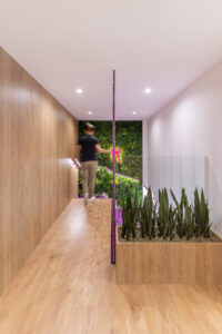JPG Media Juan Antonio Arquitecto- Clinica Dental El Carmen- Albatera IMG_6488-Editar