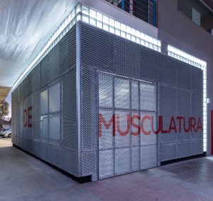 Sala de musculatura