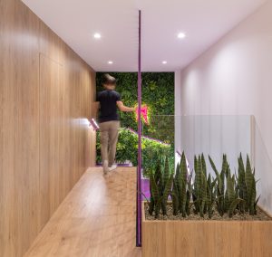 Centro dental el Carmen